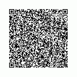vCard 78514393713