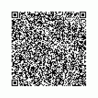 vCard 78514393728