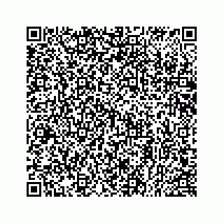 vCard 78514393729