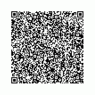 vCard 78514393731