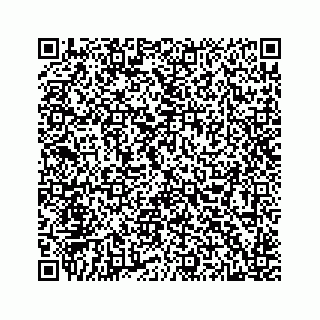 vCard 78514499133