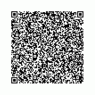 vCard 78514499299