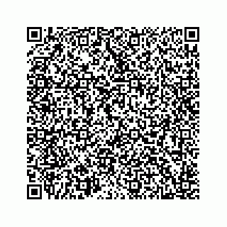 vCard 78514499311