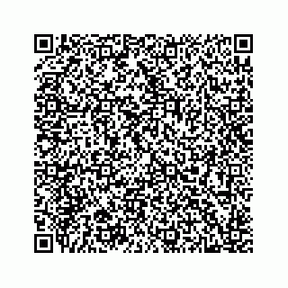 vCard 78514499381