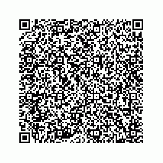 vCard 78514499387