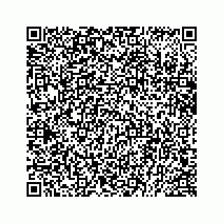 vCard 78514499393