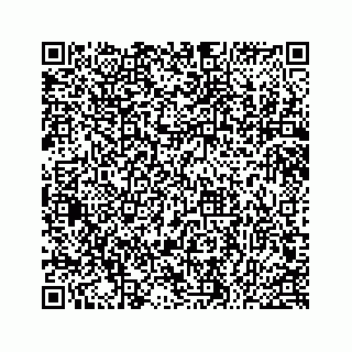 vCard 78514920001