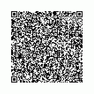 vCard 78514920011