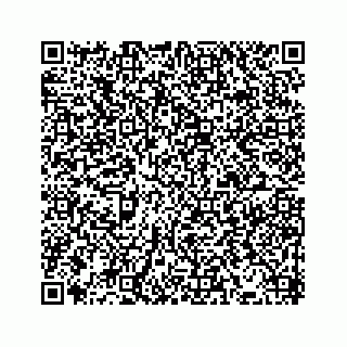 vCard 78514920063