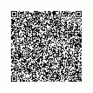 vCard 78514929729