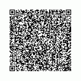 vCard 78552200381