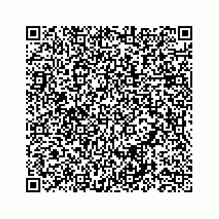 vCard 78552720384