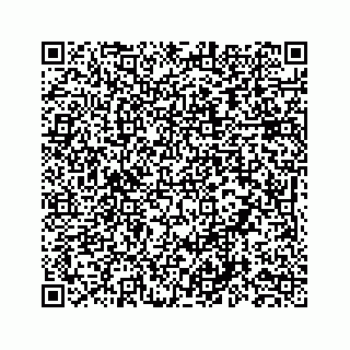 vCard 78553347739