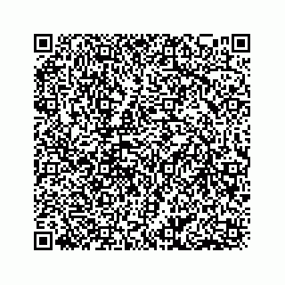 vCard 78553369521