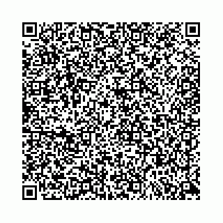 vCard 78553370263