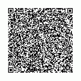 vCard 78553370313