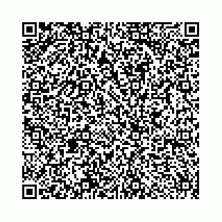 vCard 78553370331
