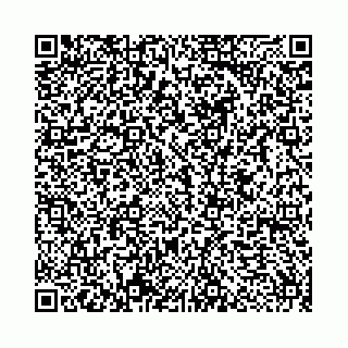 vCard 78553370387