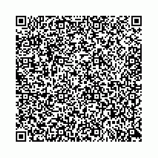 vCard 78553371333