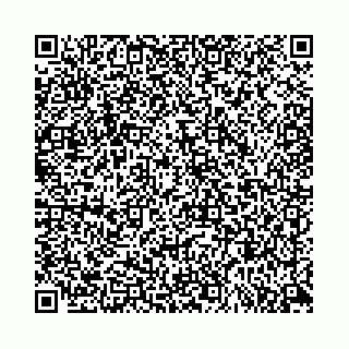 vCard 78553371383