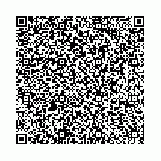vCard 78553372913