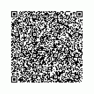 vCard 78553397881