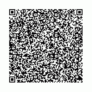 vCard 78553447296