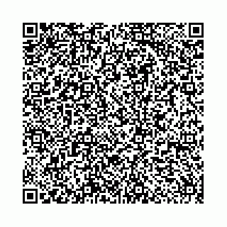 vCard 78553449529