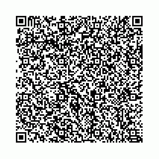vCard 78555380293