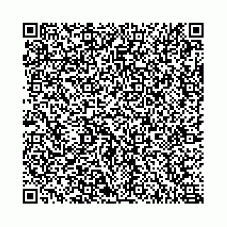 vCard 78555383290