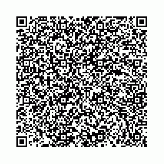 vCard 78555383329