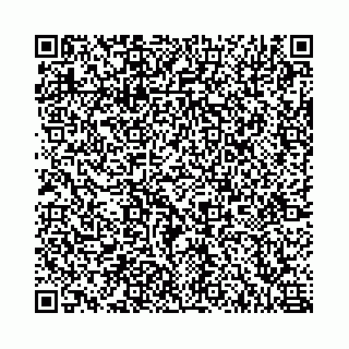 vCard 78555383379