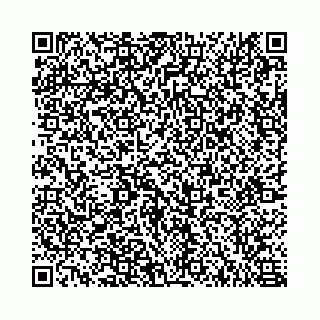 vCard 78555383497