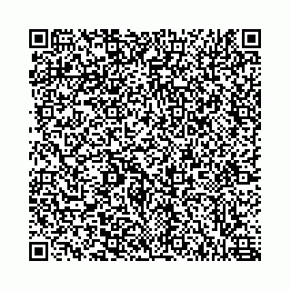 vCard 78555401313
