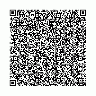 vCard 78555401380