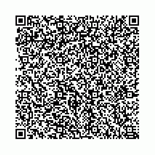 vCard 78555480380