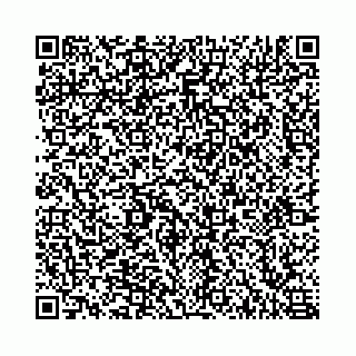 vCard 78555480739