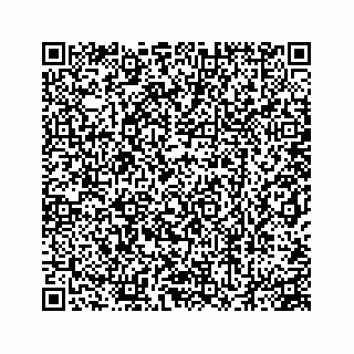 vCard 78555496093