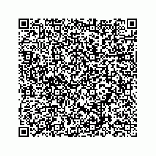vCard 78555635381