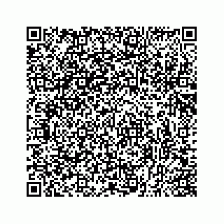 vCard 78556333839