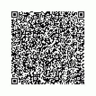 vCard 78559493003