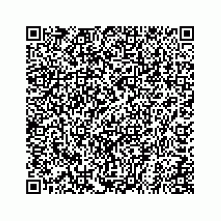 vCard 78559493376