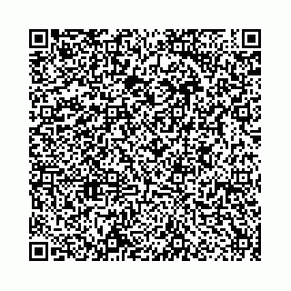 vCard 78559590011