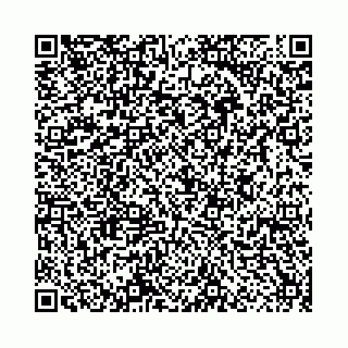 vCard 78559590081