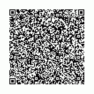 vCard 78559590313
