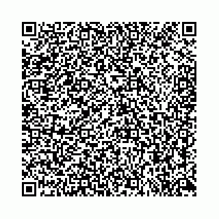 vCard 78559590377