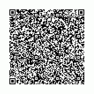 vCard 78559590386