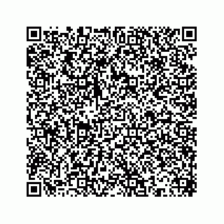 vCard 78613253008