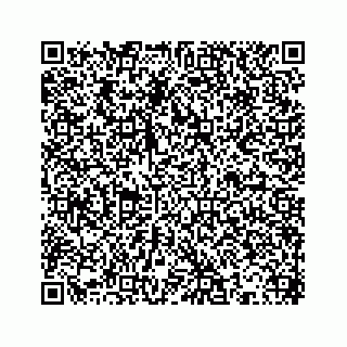vCard 78613253009