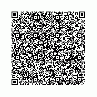 vCard 78613253039